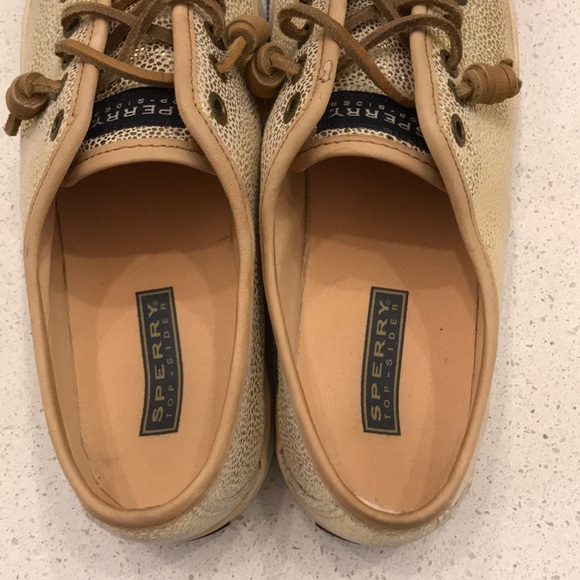 Sperry Sneakers - Picture 3 of 4